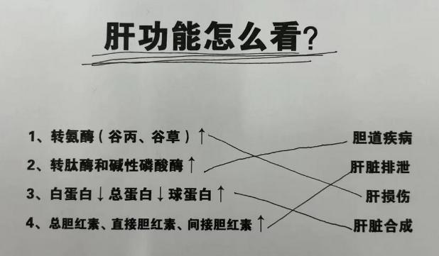 肝功能11项具体内容是什么?