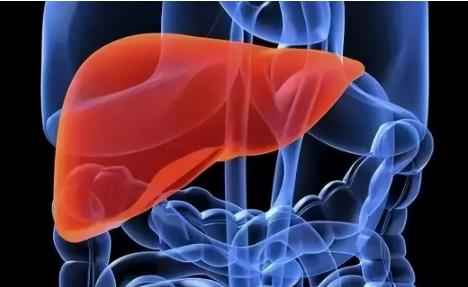 入职体检转氨酶升高是什么原因？