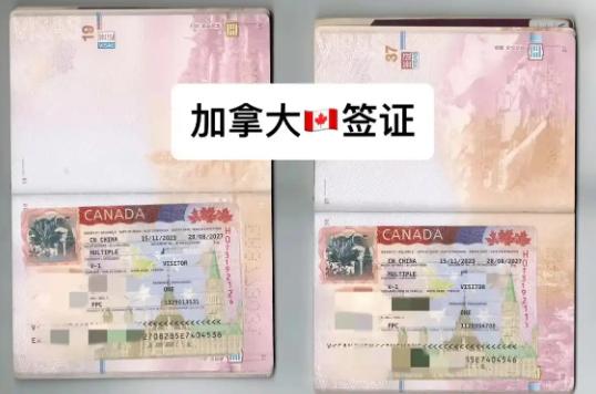 加拿大留学签证体检指南（预体检、体检信、体检过期）