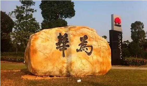 揭秘深圳华为百草园入职体检流程(详细篇)