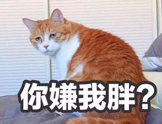 我太胖了，入职体检会有影响吗？体检不合格怎么办？