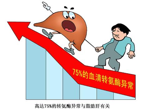入职体检转氨酶的数值到底是40还是80？