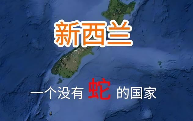 关于新西兰移民体检的最新攻略，附有拒签风险的疾病清单！